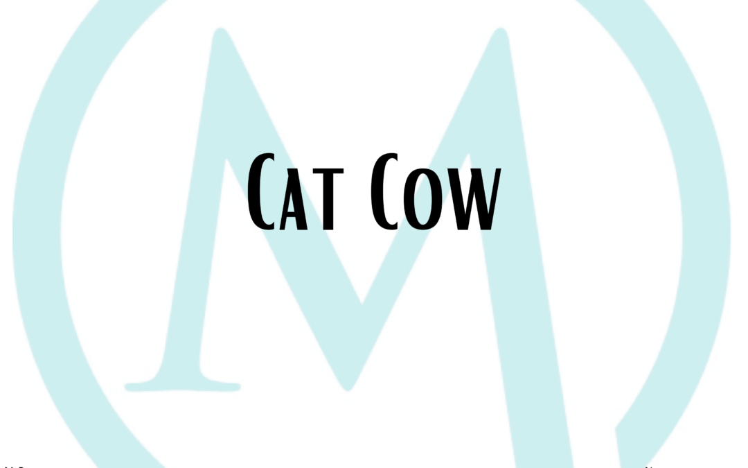 Cat cow Exercise